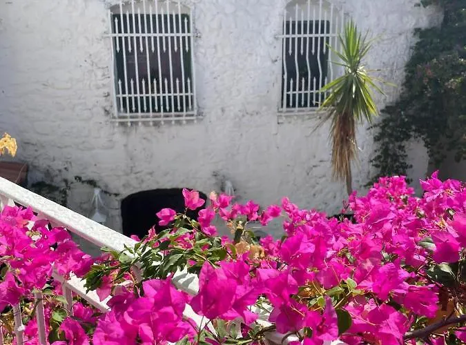 Aparthotel 8