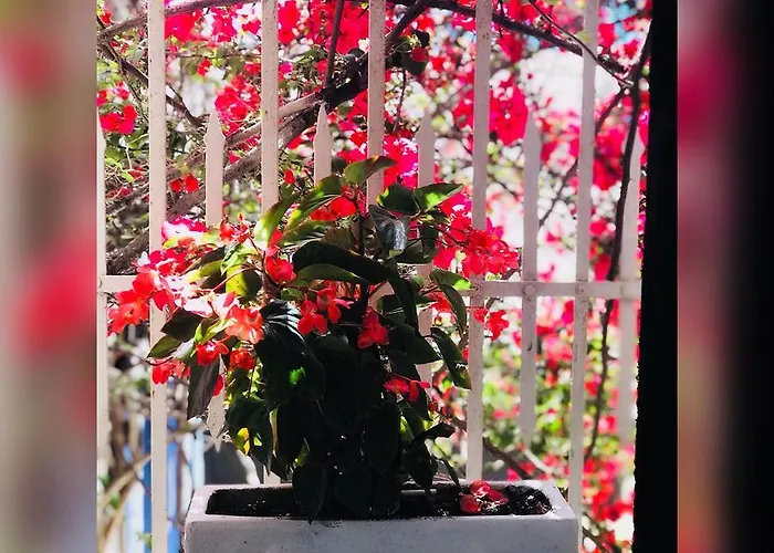 Hotel apartamentowy 8