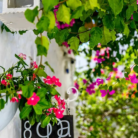 8 Hotel de apartamente 3*